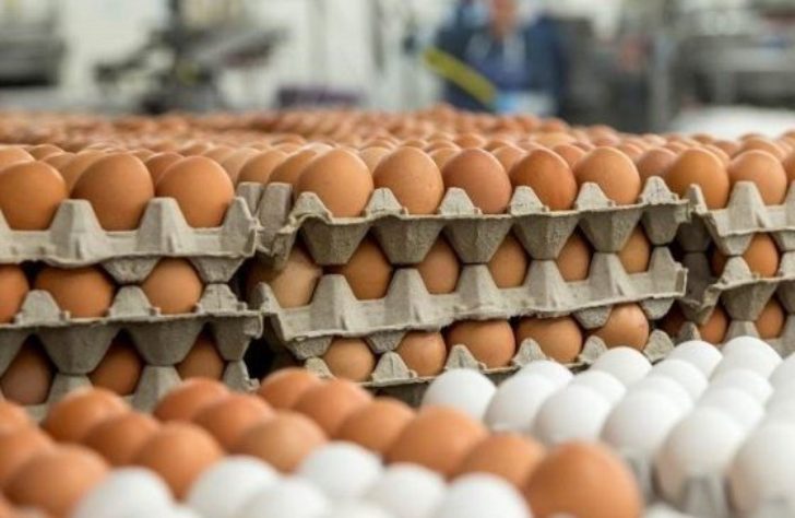 increase-egg-production-kerala