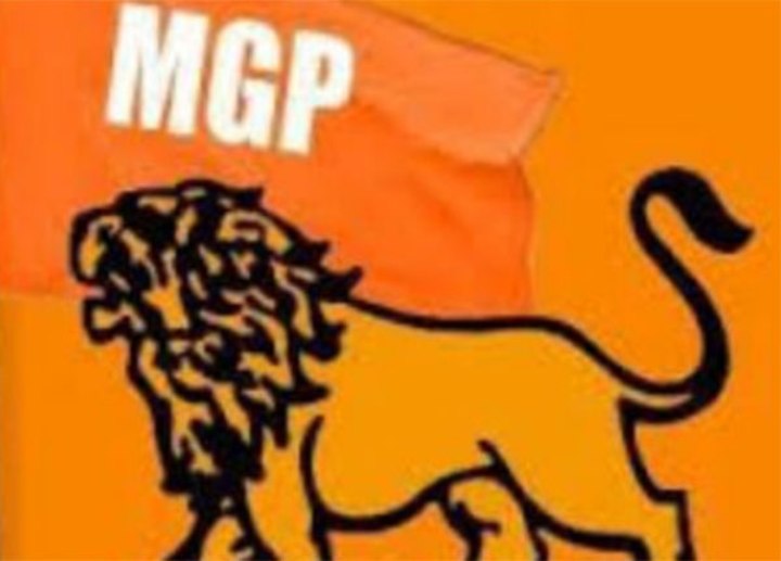 mgp-party