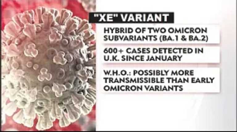 omnicron-variant-xe