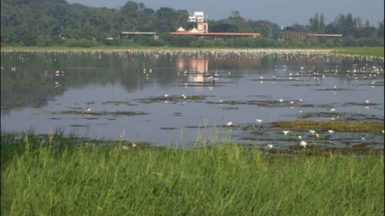Carambolim Lake Goa