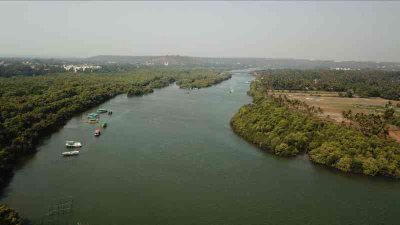 nerul river goa