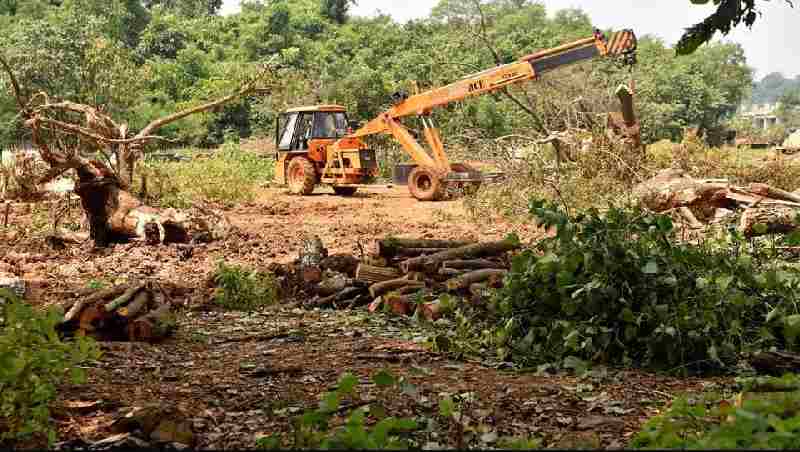 aarey forest goregaon