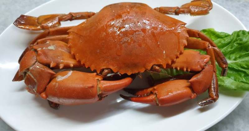 baked-stuffed-crabs