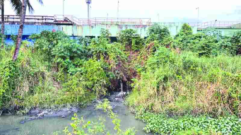 sewage discharge into river sal at navelim stp salcete