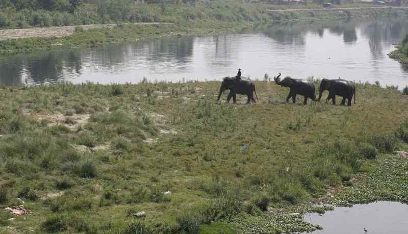 yamuna plains